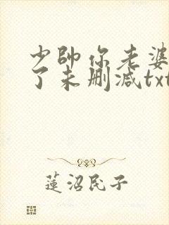 少帅你老婆又跑了未删减txt