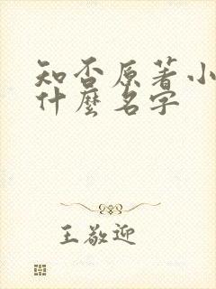 知否原著小说叫什么名字