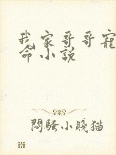 我家哥哥宠妹如命小说