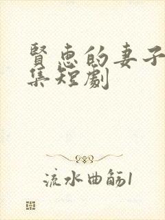 贤惠的妻子29集短剧