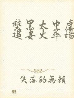 双黑太中虐中也追妻火葬场