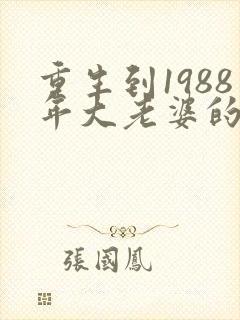 重生到1988年大老婆的小说