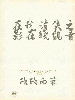 在我消失之前电影在线观看免费播放