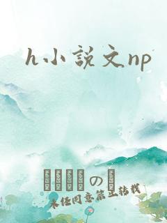 h小说文np