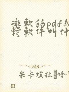 微软的pdf编辑软件叫什么