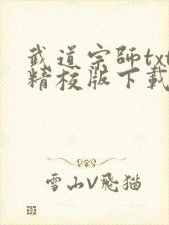 武道宗师txt精校版下载