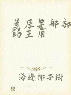 叶辰是哪部小说的主角