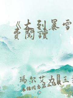 《大到暴雪》免费阅读