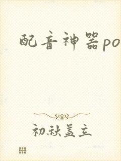 配音神器por