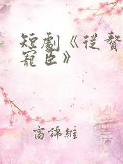 短剧《从赘婿到宠臣》