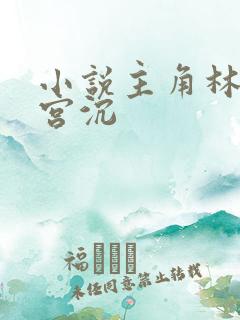 小说主角林知意宫沉