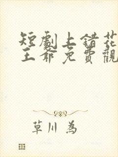 短剧上错花轿嫁王爷免费观看