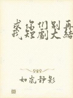 求你们别再说爱我短剧大结局