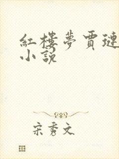 红楼梦贾琏龙阳小说