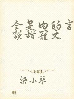 全是肉的言情小说甜宠文