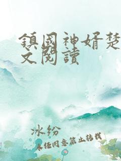 镇国神婿楚尘全文阅读