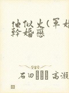 他似火(军婚高干婚恋