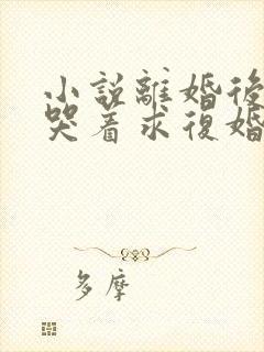 小说离婚后前夫哭着求复婚免费完本