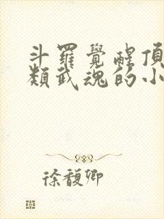 斗罗觉醒顶级剑类武魂的小说