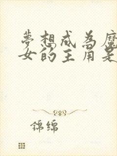 梦想成为魔法少女的主角是谁