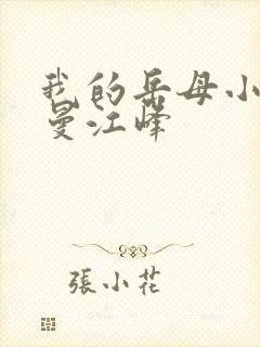 我的岳母小说沈曼江峰