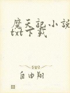 魔天记小说全本txt下载