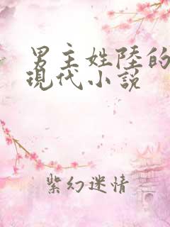 男主姓陆的全部现代小说