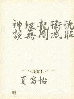 神级龙卫沈浪小说无删减版
