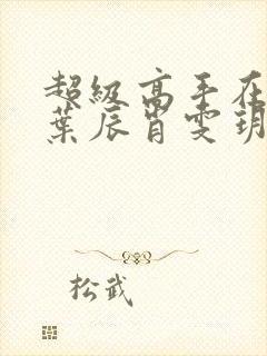 超级高手在都市叶辰肖雯玥免费