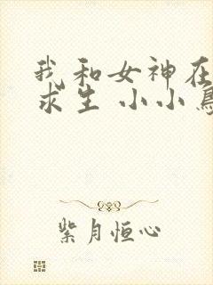 我和女神在荒岛求生 小小鸟