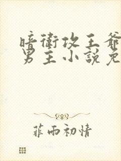 暗卫攻王爷受双男主小说免费阅读