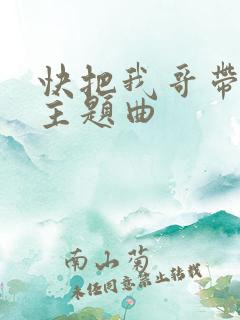快把我哥带走的主题曲