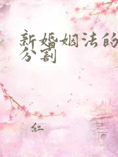 新婚姻法的财产分割