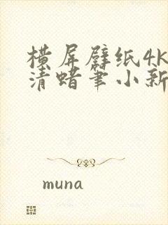 横屏壁纸4k超清蜡笔小新