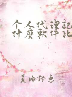 个人代理记账用什么软件比较好