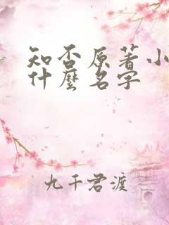 知否原著小说叫什么名字