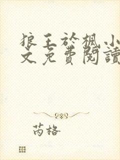 狼王于枫小说全文免费阅读