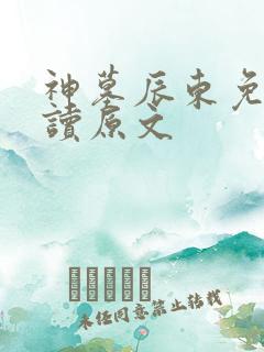 神墓辰东免费阅读原文