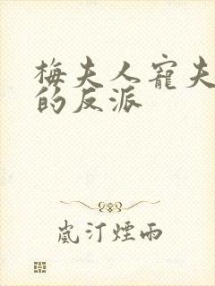 梅夫人宠夫日常的反派