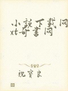 小说下载网站txt奇书网