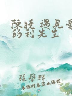 陈晓 遇见爱情的利先生