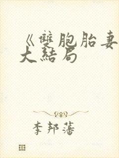 《双胞胎妻子》大结局