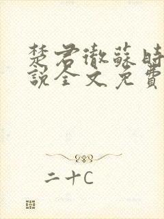 楚君彻苏时锦小说全文免费阅读