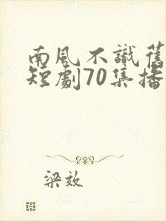 南风不识旧时人短剧70集播放
