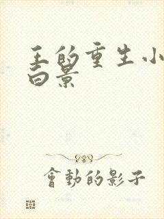 王的重生小说沈白景