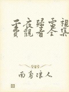 子夜归电视剧免费观看全集在线播放33集