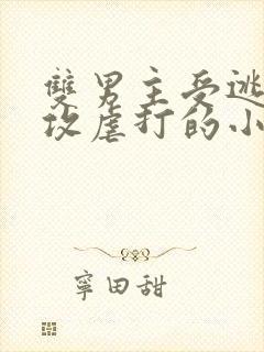 双男主受逃跑被攻虐打的小说