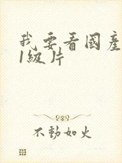 我要看国产黄色1级片