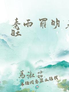 秦雨 罗明 老旺