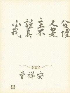 小说主人公嫂子我真不是傻子了免费阅读